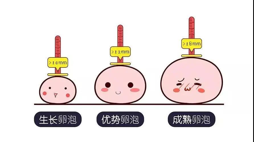 2024甘肃正规代生可选性别纳入医保了么